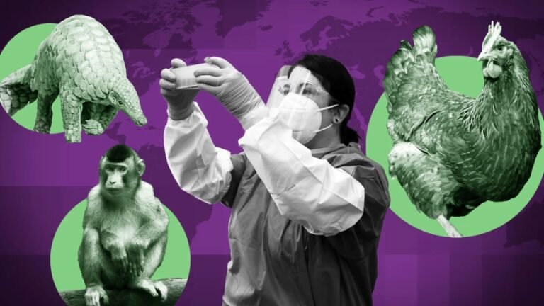 WHO Seeks Leading Scientists to Investigate New Pathogens Jumping from Animals to Humans