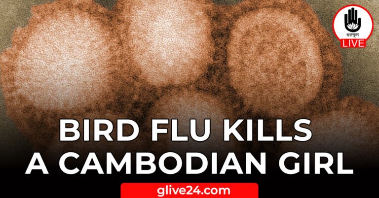Bird flu kills a Cambodian girl Bird flu kills a Cambodian girl