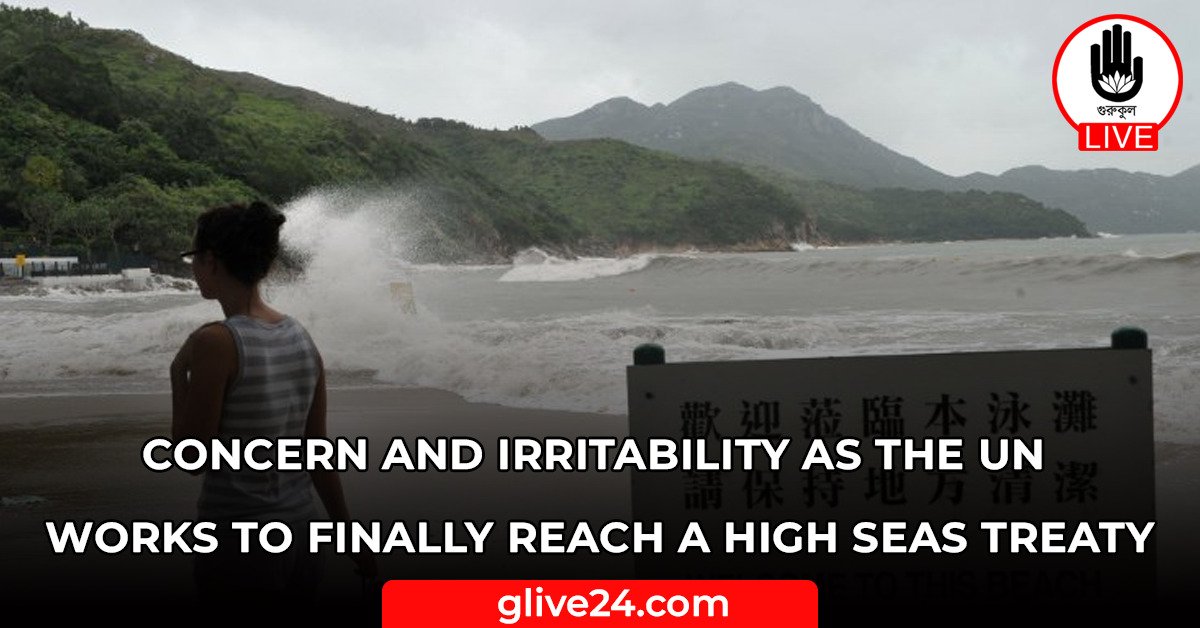 Concern and irritability as the UN works to finally reach a high seas treaty