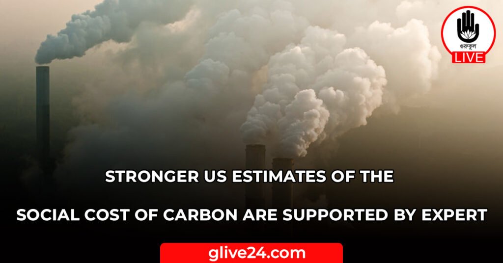 Stronger US estimates of the social cost of carbon are supported by expert