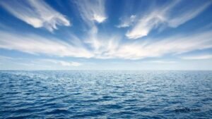 Concern and irritability as the UN works to finally reach a high seas treaty
