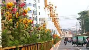 Decorative flowers on islands turn the streets eye-catching in Rajshahi city