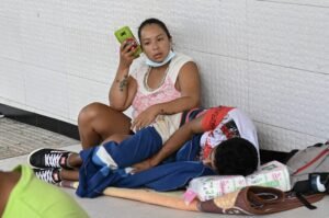 Dengue treatment advances in animal trials