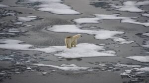 Dreaming the impossible dream: the 1.5C climate target 3 Dreaming the impossible dream