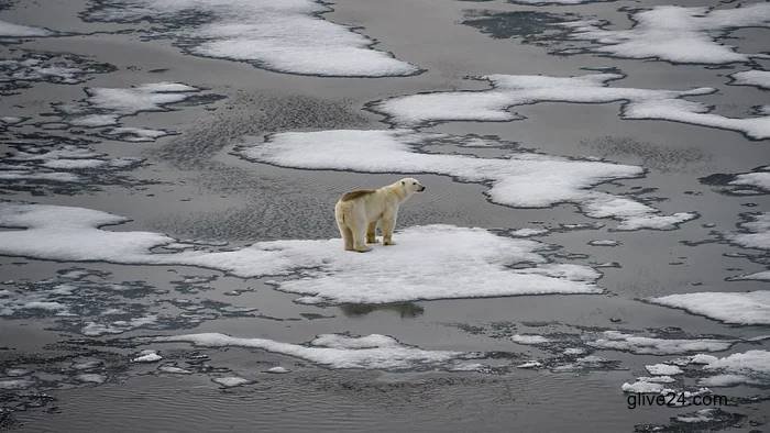 Dreaming the impossible dream: the 1.5C climate target 1 Dreaming the impossible dream