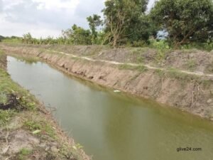 Surface water irrigation yields 42,000 tonnes more crops in Rajshahi