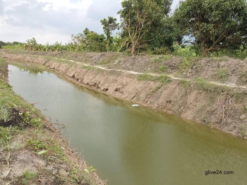 Surface water irrigation yields 42,000 tonnes more crops in Rajshahi