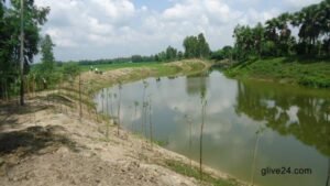 Surface water irrigation yields 42,000 tonnes more crops in Rajshahi