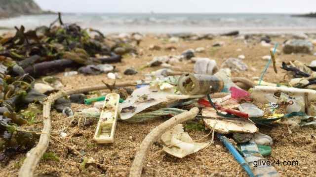 Plastic pollution is scourge of English coastal region