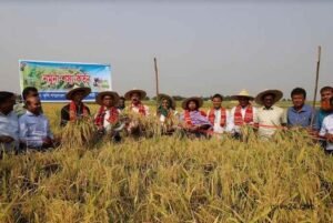 Promoting synchronised cultivation tech to boost output stressed 2 Promoting synchronised cultivation tech to boost output stressed