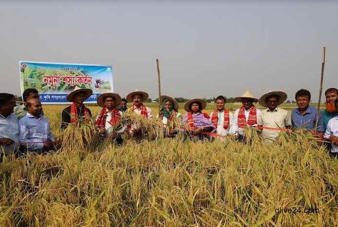 Promoting synchronised cultivation tech to boost output stressed 1 Promoting synchronised cultivation tech to boost output stressed