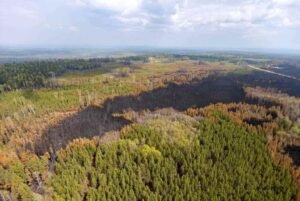 12 parks closed in western Canada due to risk of fires