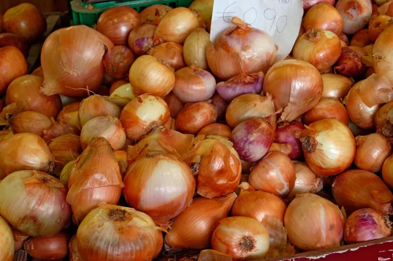 Govt to give Taka 16.20cr incentive to increase summer onion production