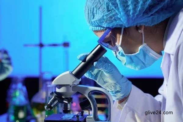 Lab-grown human embryo models spark calls for regulation 3 Lab-grown human embryo models spark calls for regulation