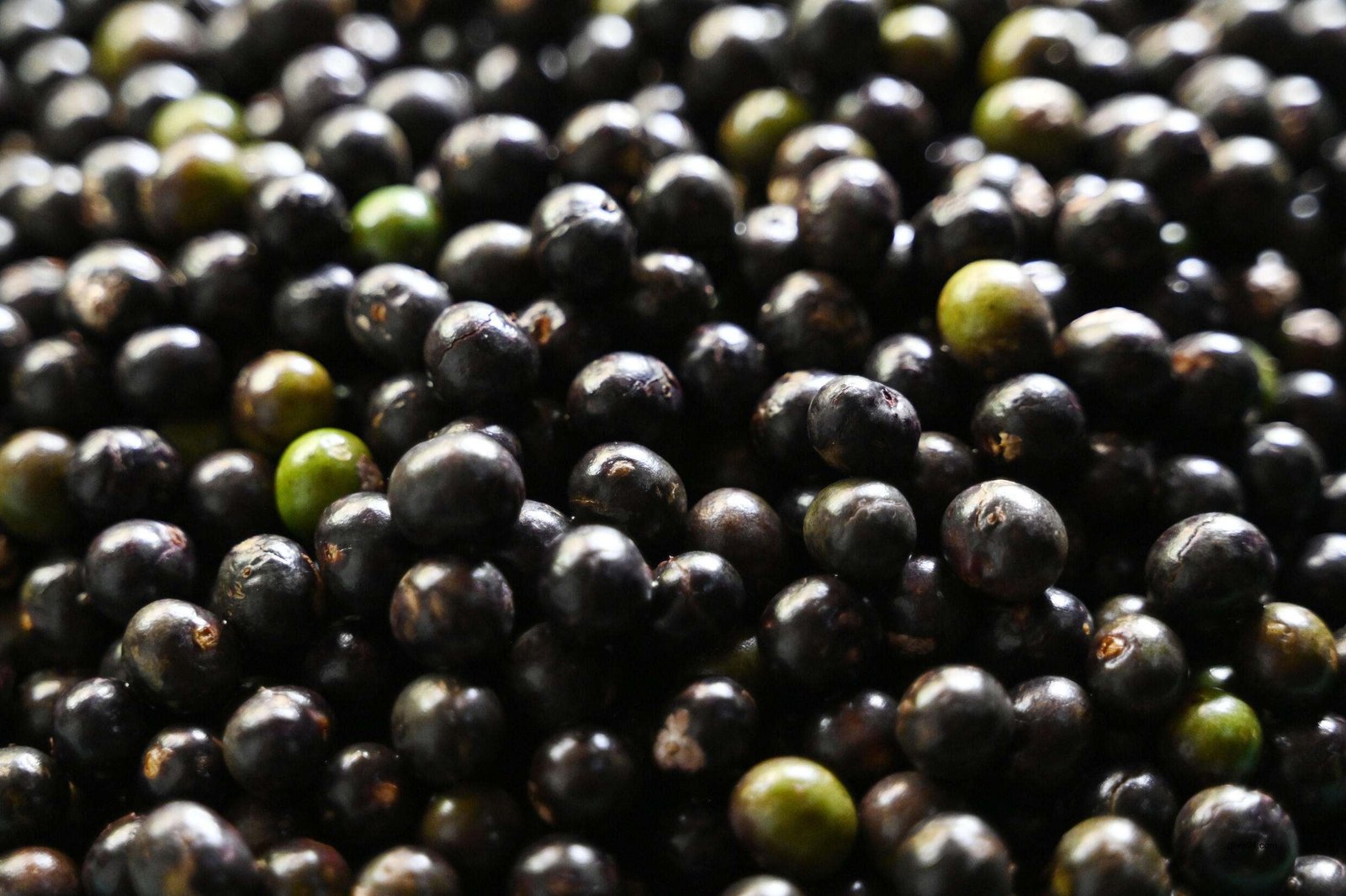 Acai berry craze: boon or threat for the Amazon?