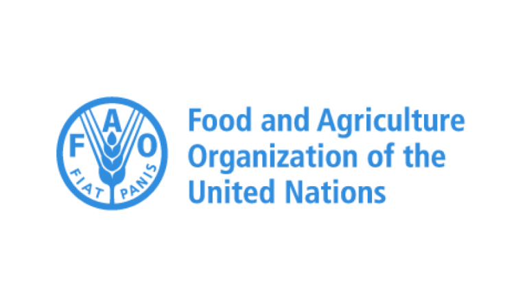 Global food prices down 2.1 pct in August: FAO