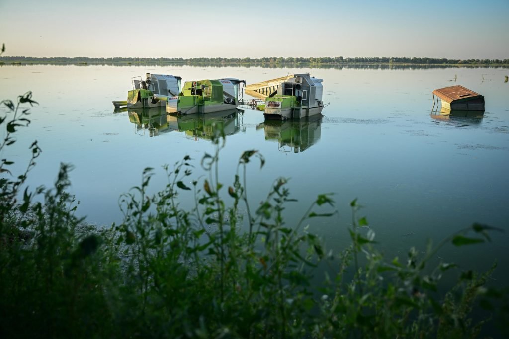 Reclaimed by floods wildlife returns to Romanias Danube Delta 1 Reclaimed by floods, wildlife returns to Romania's Danube Delta