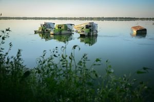 Reclaimed by floods wildlife returns to Romanias Danube Delta 1 Reclaimed by floods, wildlife returns to Romania's Danube Delta 1