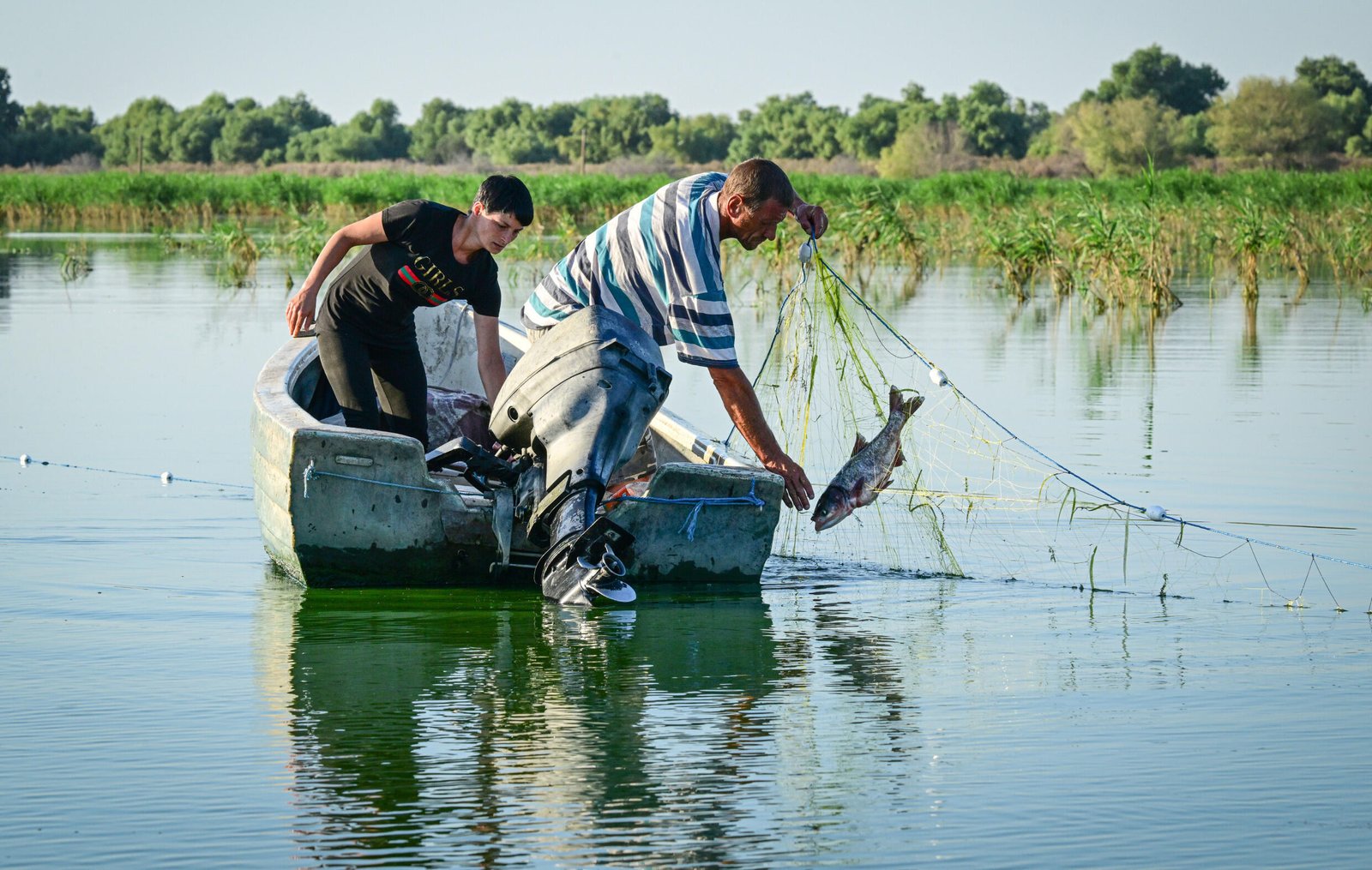 Reclaimed by floods, wildlife returns to Romania's Danube Delta