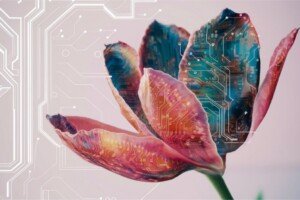 Cybersecurity Tips to Protect Yourself in a Digital Age