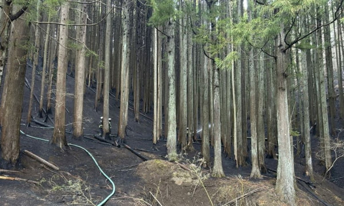 Japan Partially Lifts Wildfire Evacuation Orders