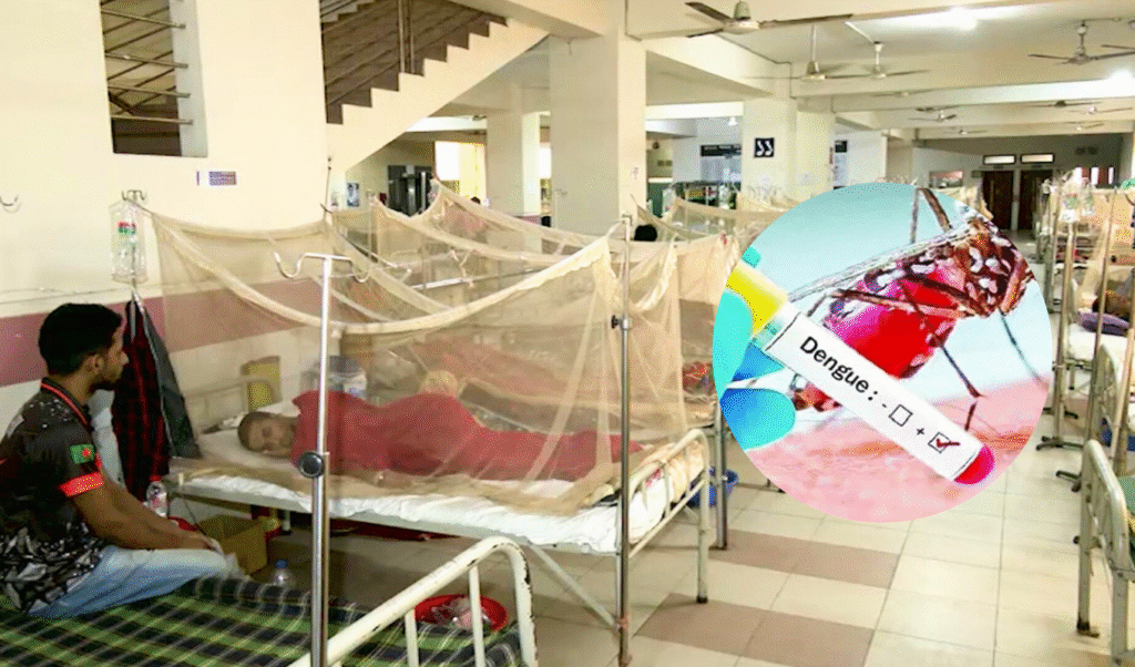 Eight Die of Dengue in a Single Day 778 Admitted to Hospitals Eight Die of Dengue in a Single Day, 778 Admitted to Hospitals
