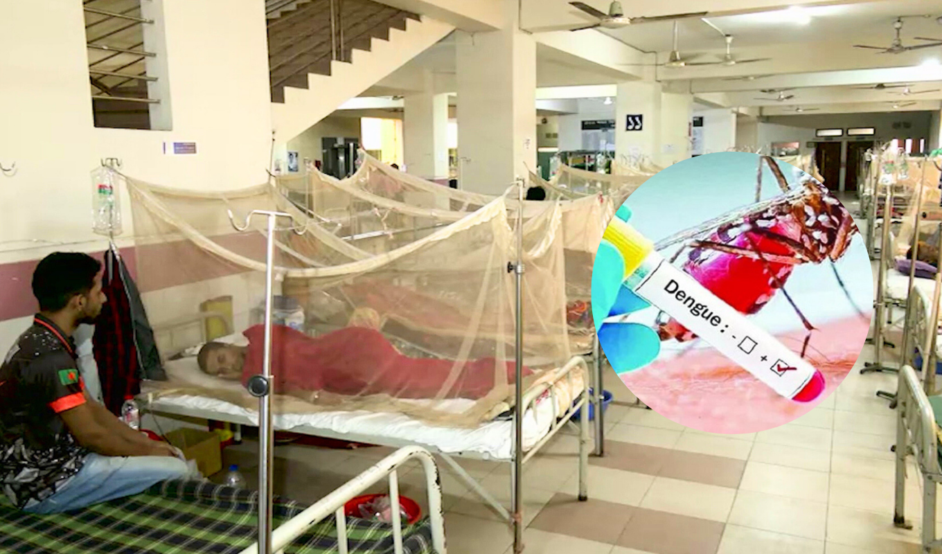 Eight Die of Dengue in a Single Day, 778 Admitted to Hospitals 1 Eight Die of Dengue in a Single Day 778 Admitted to Hospitals Eight Die of Dengue in a Single Day, 778 Admitted to Hospitals