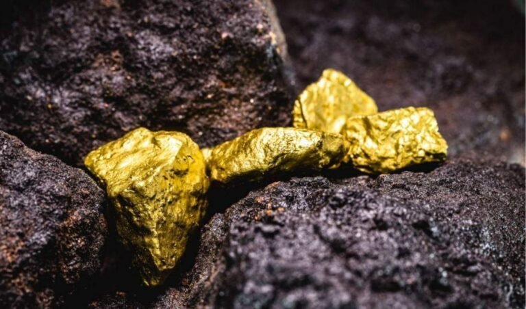 Frenchman Strikes Gold While Digging His Garden Pool