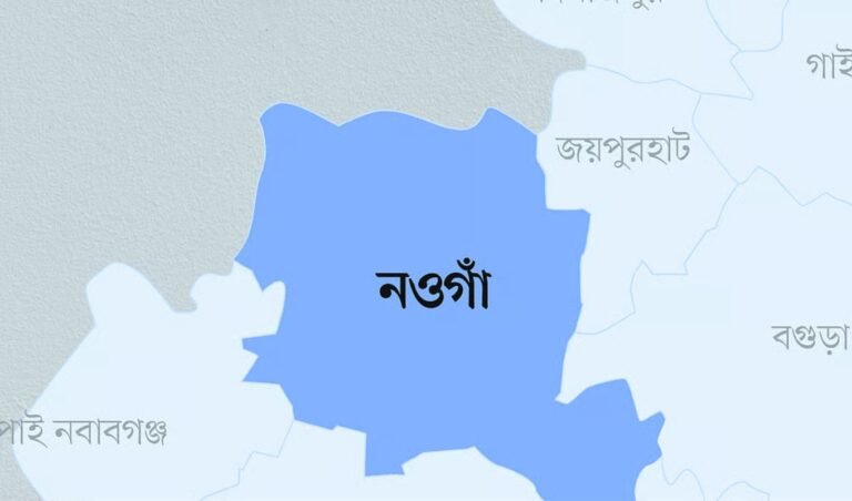 One Dead and 17 Hospitalised After Eating Wedding Food in Naogaon One Dead, Several Hospitalised After Food Poisoning at Wedding Feast