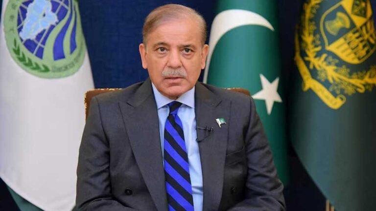 Pakistan Blames India