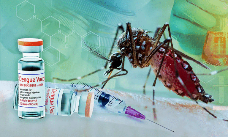 Single-Dose Dengue Vaccine