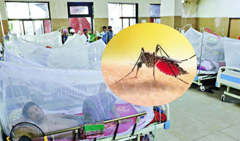 Three More Die of Dengue in 24 Hours 615 Admitted to Hospital Three More Die of Dengue in 24 Hours, 615 Admitted to Hospital