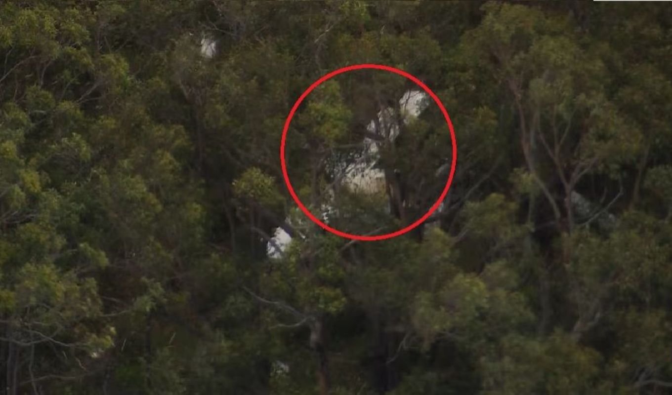 Two Light Aircraft Collide Over Sydney One Pilot Killed Aircraft Collision in Australian Sky, Pilot Dies in Crash