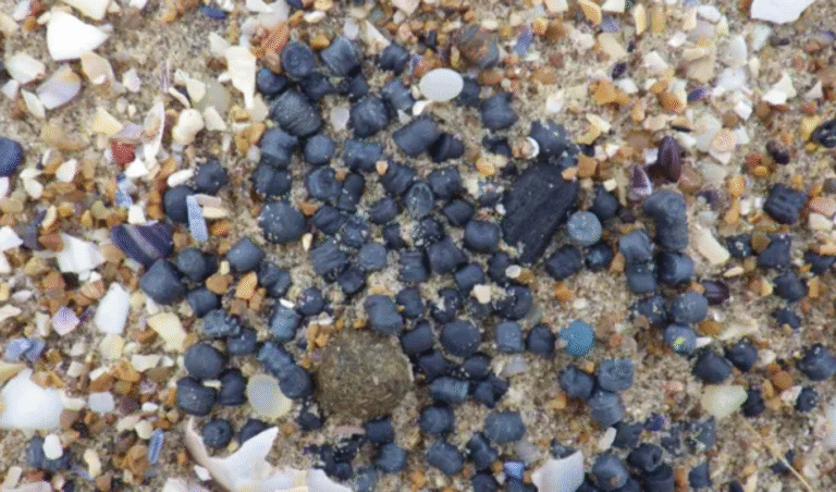 "Southern Water Admits Responsibility for Plastic Pellet Pollution"