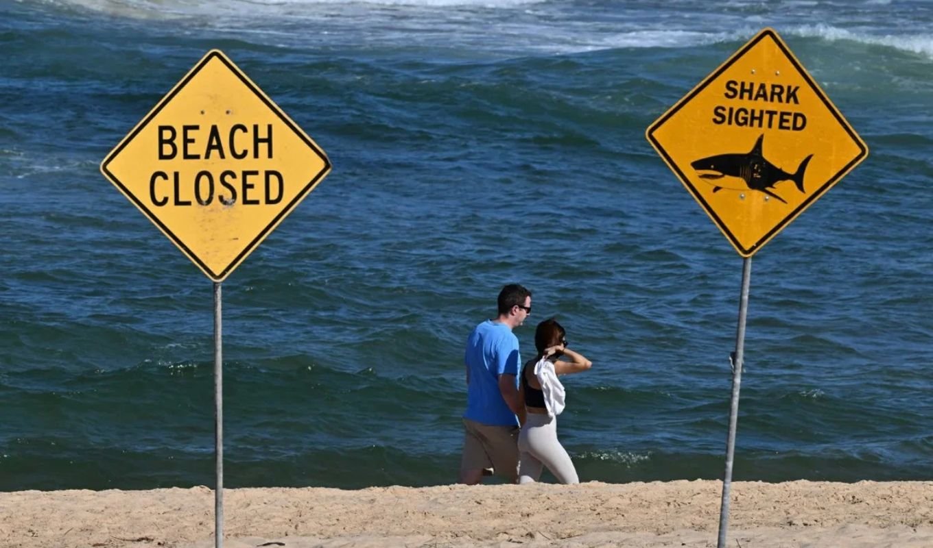 Young Woman Killed in Shark Attack in Australia Another Seriously Injured Young Woman Killed in Shark Attack on Australian Beach