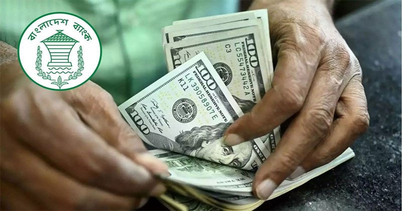 Billion Dollars in Remittances