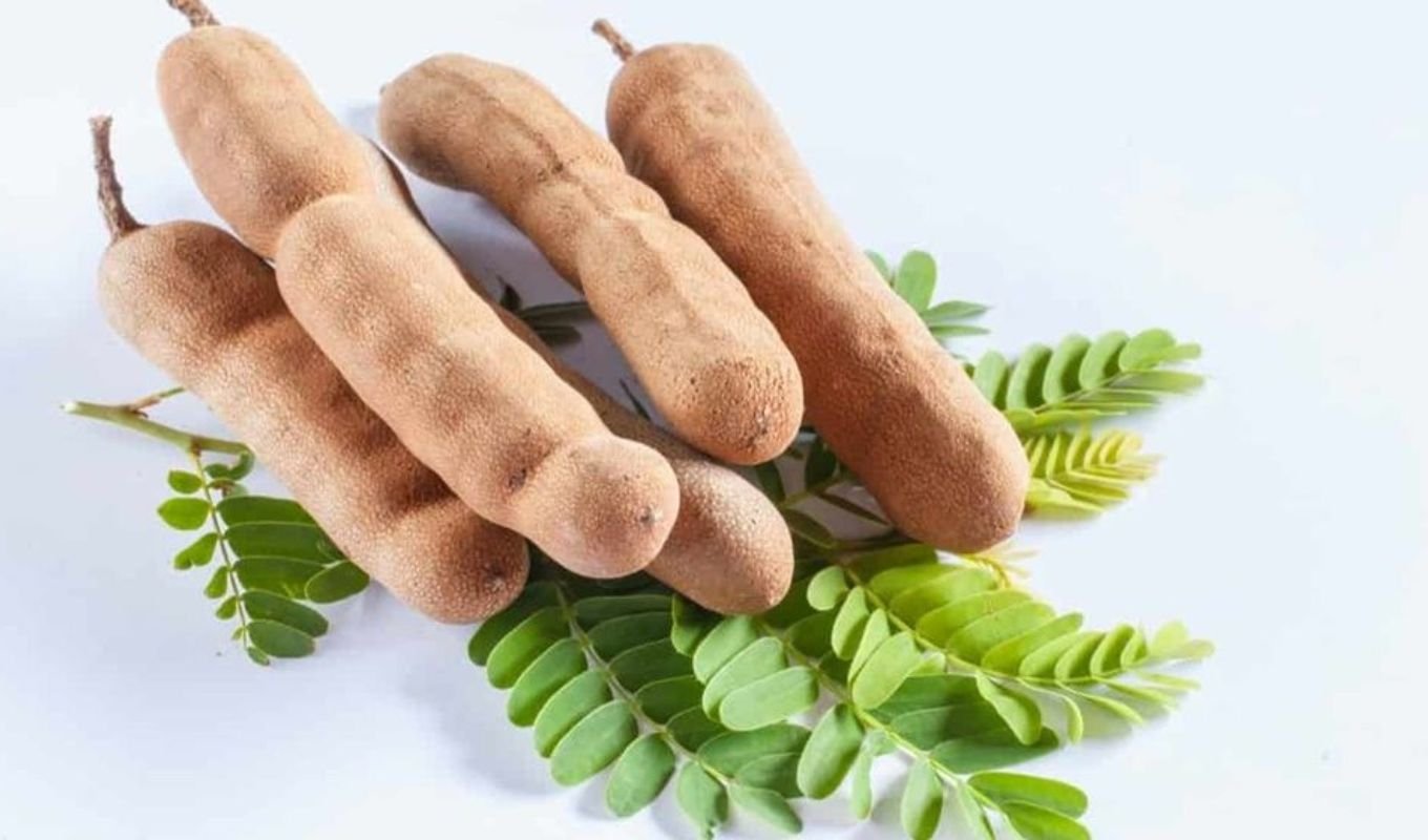 তেঁতুল স্বাদের সঙ্গে স্বাস্থ্যগুণ Tamarind: Tangy in Taste, Excellent for Health