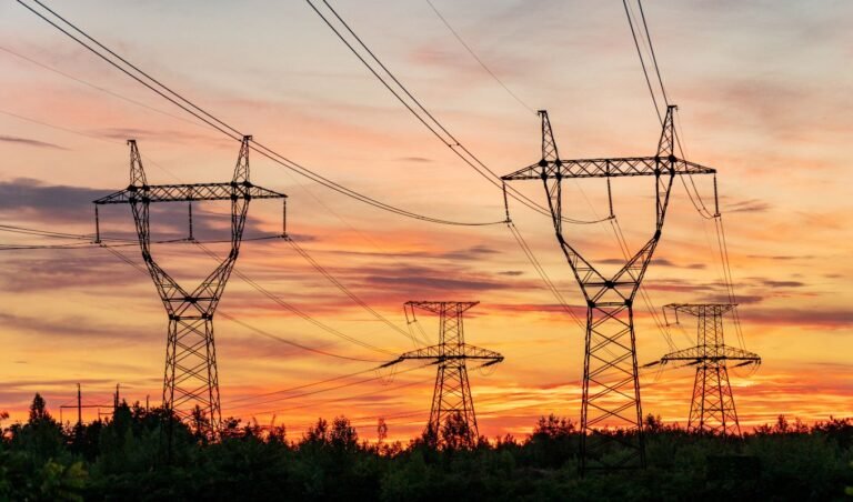 বিদ্যুত Power Outage in Kaliganj for Two Days