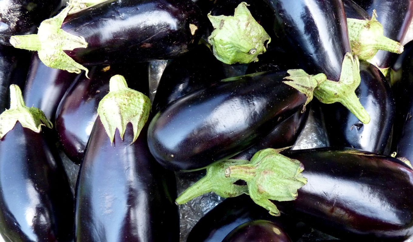 বেগুন Seven Tips to Choose Fresh, Worm-Free Eggplants