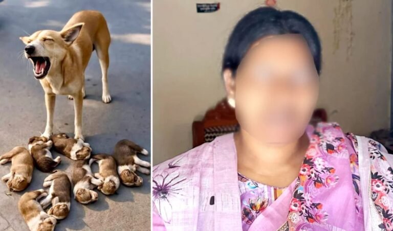 Case Filed Over Killing of Eight Puppies in Ishwardi Case Filed Over Drowning of Eight Puppies in Ishwardi