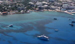 Cayman Insurance Risks Spark US Sector Alarm Cayman Insurance Risks Spark US Sector Alarm