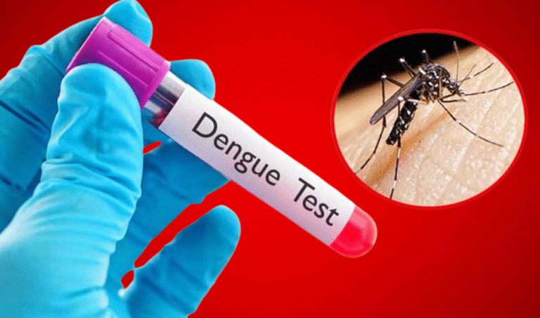 Copy of ntitled 2 Dengue claims two more lives as fresh admissions rise nationwide