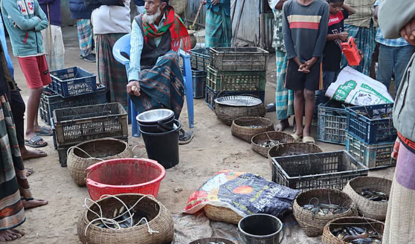Morning Haor–River Fish Market Draws Crowds Finishes in Two Hours Morning Haor–River Fish Market Draws Crowds, Finishes in Two Hours