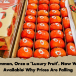 Persimmon Once a Luxury Fruit Now Widely Available Why Prices Are Falling Persimmon, Once a 'Luxury Fruit', Now Widely Available: Why Prices Are Falling