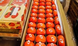 Persimmon Once a Luxury Fruit Now Widely Available Why Prices Are Falling Persimmon, Once a 'Luxury Fruit', Now Widely Available Why Prices Are Falling