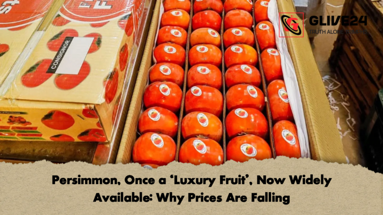 Persimmon Once a Luxury Fruit Now Widely Available Why Prices Are Falling Persimmon, Once a 'Luxury Fruit', Now Widely Available: Why Prices Are Falling