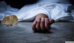 Two Die After Mistakenly Rat Poison Tablets in Jamalpur Two Die After Mistakenly Rat Poison Tablets in Jamalpur