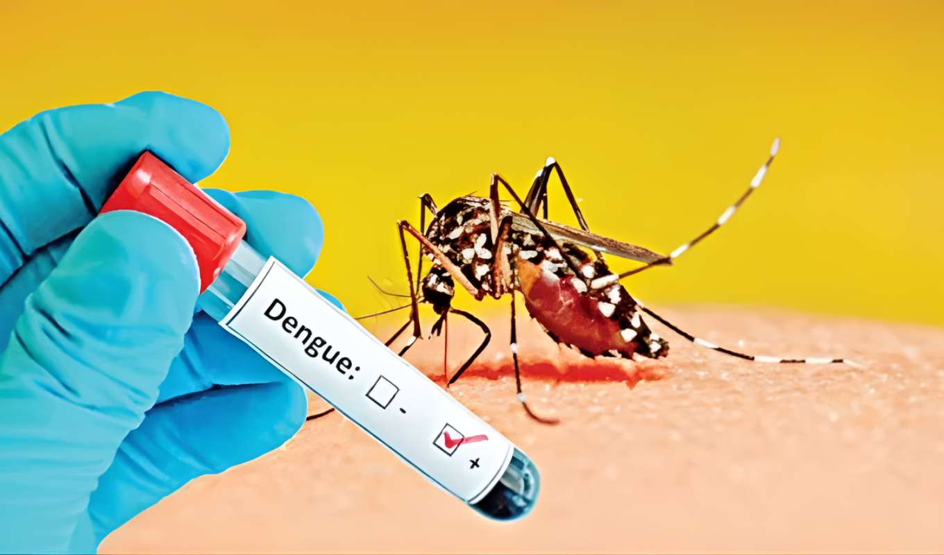 Two More Dengue Deaths Reported 565 Admitted to Hospital Dengue Claims Two More Lives as 565 Patients Hospitalised Nationwide