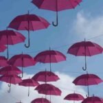 থাই লাইফ পণ্য পরিবর্তন প্রিমিয়াম বৃদ্ধি করেছে Thai Life Product Shift Boosts Premiums, Reduces Profitability