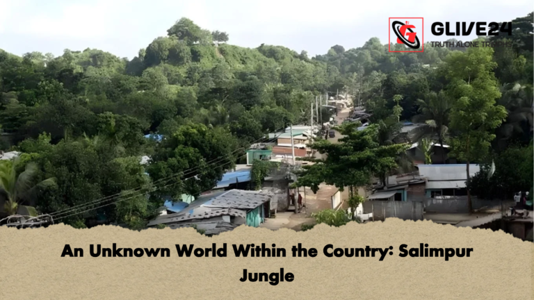 An Unknown World Within the Country Salimpur Jungle 1 An Unknown World Within the Country: Salimpur Jungle